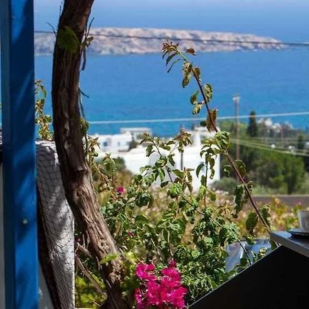 Aloe Paros Suites And Studios Дріос Екстер'єр фото