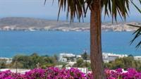 Aloe Paros Suites And Studios Дріос Екстер'єр фото