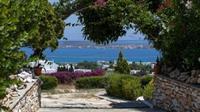 Aloe Paros Suites And Studios Дріос Екстер'єр фото